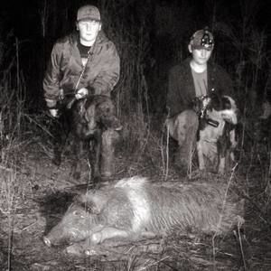 Meet your Posher, Landon